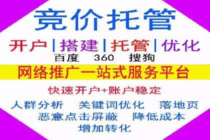 案例分析：SEM推广助力行业竞争突围
